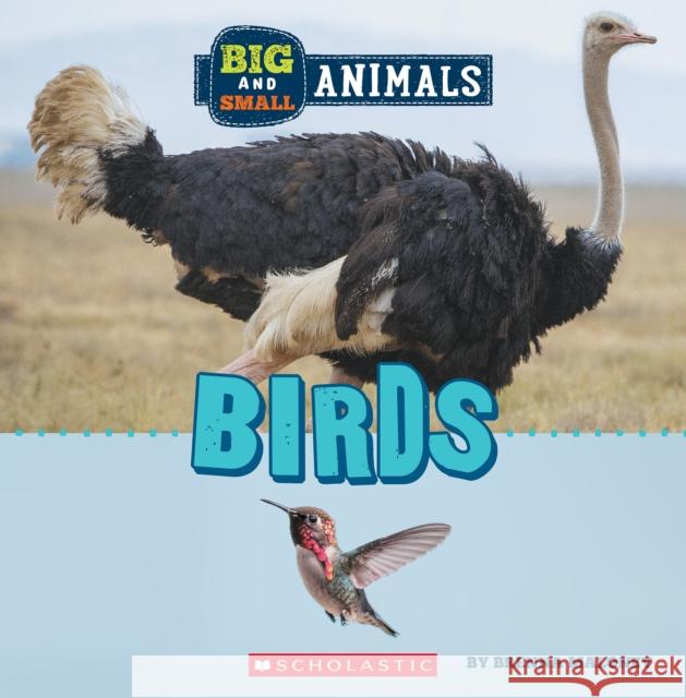 Big and Small: Birds (Wild World) Brenna Maloney 9781338853513 C. Press/F. Watts Trade - książka