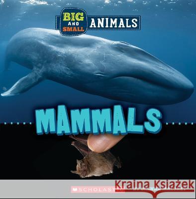 Big and Small: Mammals (Wild World) Brenna Maloney 9781338853568 C. Press/F. Watts Trade - książka