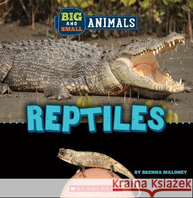 Big and Small: Reptiles (Wild World) Brenna Maloney 9781338853599 C. Press/F. Watts Trade - książka