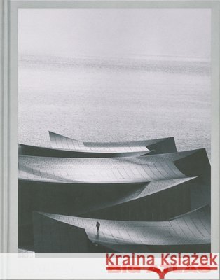 BIG Atlas Bjarke Ingels Group 9781837290185 Phaidon Press - książka