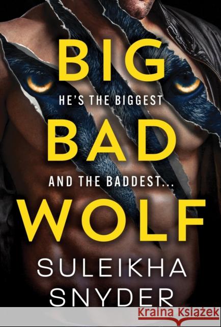 Big Bad Wolf Suleikha Snyder 9781728214979 Sourcebooks Casablanca - książka