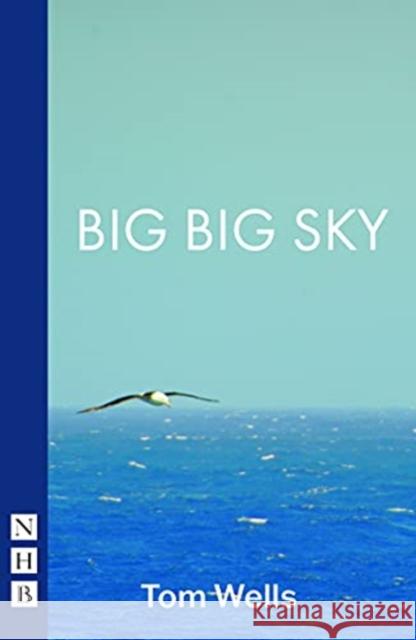 Big Big Sky Wells, Tom 9781839040184 Nick Hern Books - książka
