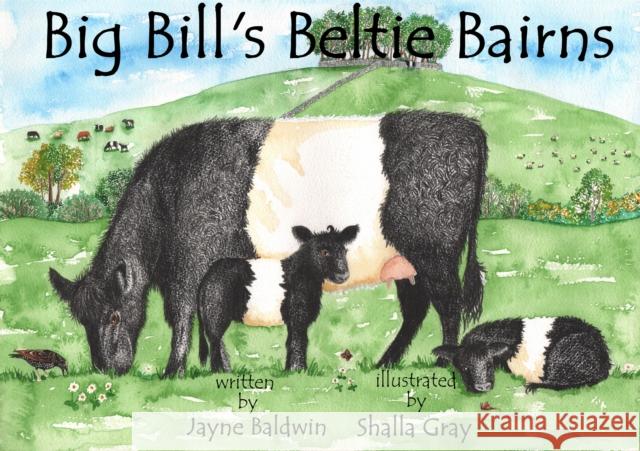 Big Bill's Beltie Bairns Jayne Baldwin, Shalla Gray 9780957640221 Curly Tale Books - książka