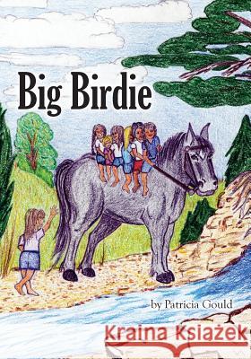 Big Birdie Patricia Gould 9780999888407 Scott Publishing Company - książka