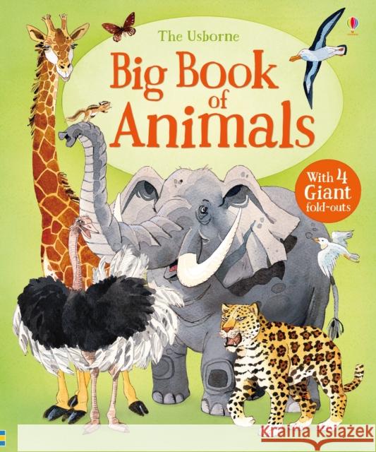 Big Book of Animals Hazel Maskell 9781474928953 Usborne Publishing Ltd - książka