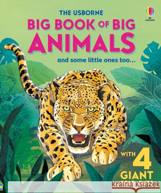 Big Book of Big Animals Hazel Maskell 9781836040217 Usborne Publishing Ltd - książka