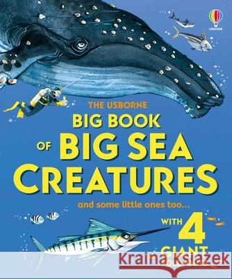 Big Book of Big Sea Creatures Minna Lacey Fabiano Fiorin 9781836050315 Usborne Books - książka