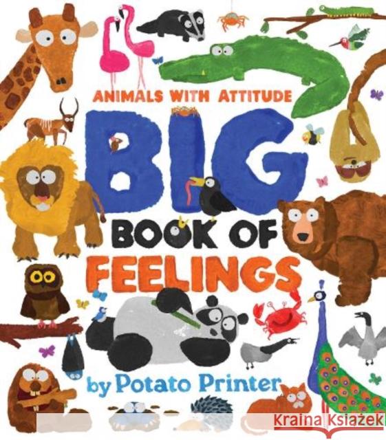 Big Book of Feelings James O'Brien 9781454712206 Lark Books,U.S. - książka
