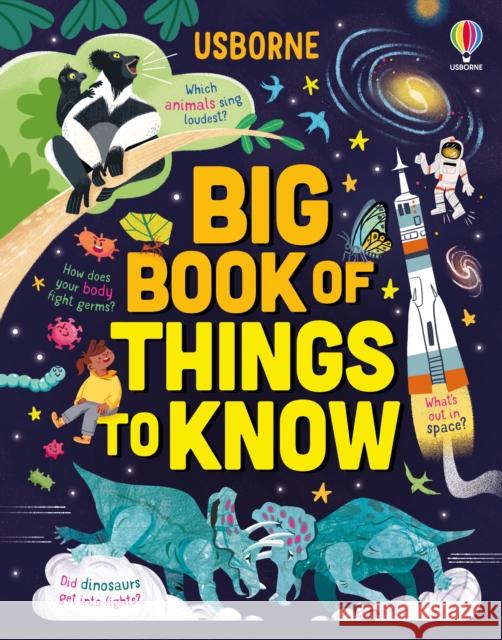 Big Book of Things to Know: A Fact Book for Kids  9781805074113 Usborne Publishing Ltd - książka