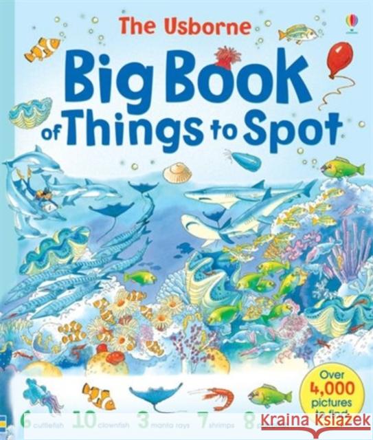 Big Book of Things to Spot Ruth Brocklehurst 9780746053010 Usborne Publishing Ltd - książka