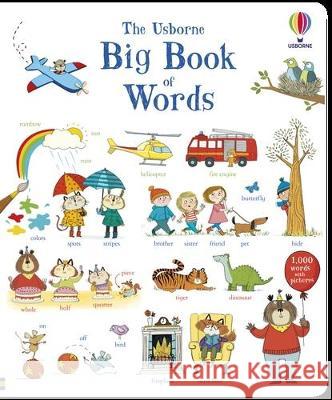 Big Book of Words Hannah Wood Mairi MacKinnon Kate Hindley 9781805317395 Usborne Books - książka