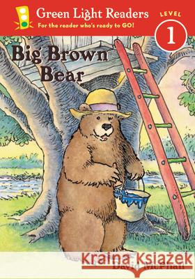 Big Brown Bear David M. McPhail 9780152048587 Green Light Readers - książka
