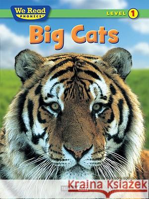 Big Cats Bruce Johnson 9781601153142 Treasure Bay - książka