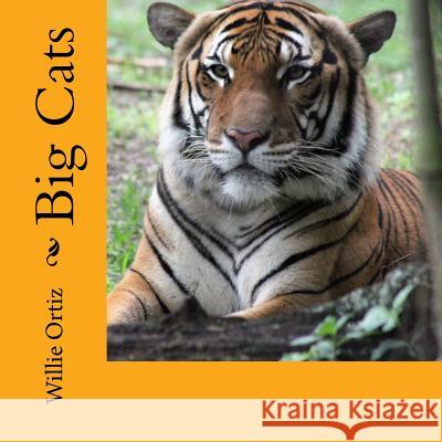 Big Cats MR Willie Ortiz 9781979741125 Createspace Independent Publishing Platform - książka