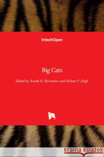 Big Cats Avadh B. Shrivastav, Keshav P. Singh 9789535136835 Intechopen - książka