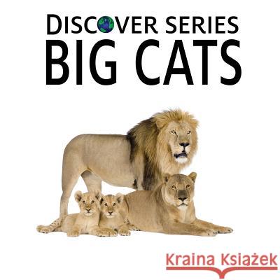 Big Cats: Discover Series Picture Book for Children Xist Publishing 9781623950156 Xist Publishing - książka