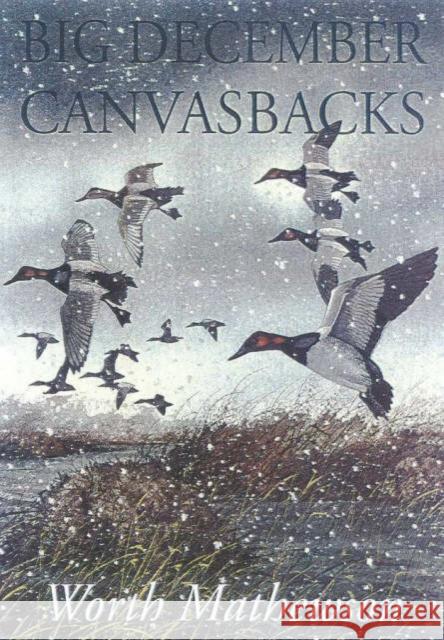 Big December Canvasbacks, Revised Worth Mathewson 9781568331539 Derrydale Press - książka