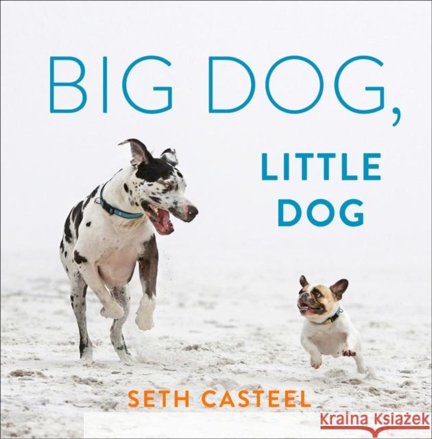 Big Dog, Little Dog Seth Casteel 9780593183663 Penguin Putnam Inc - książka