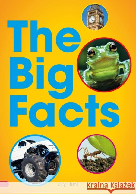 Big Facts Book (Set 07) Jilly Hunt 9780702327223 Scholastic - książka