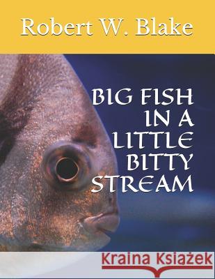 Big Fish in a Little Bitty Stream Robert W. Blake 9781793312211 Independently Published - książka