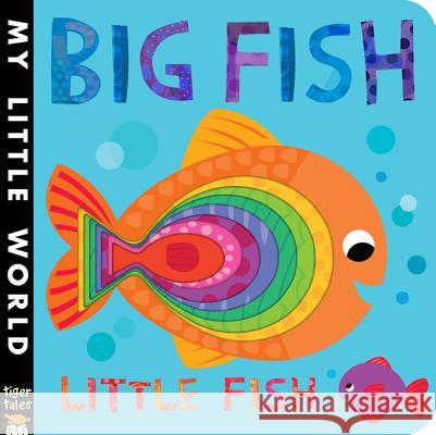 Big Fish Little Fish Jonathan Litton Fhiona Galloway 9781589252158 Tiger Tales - książka