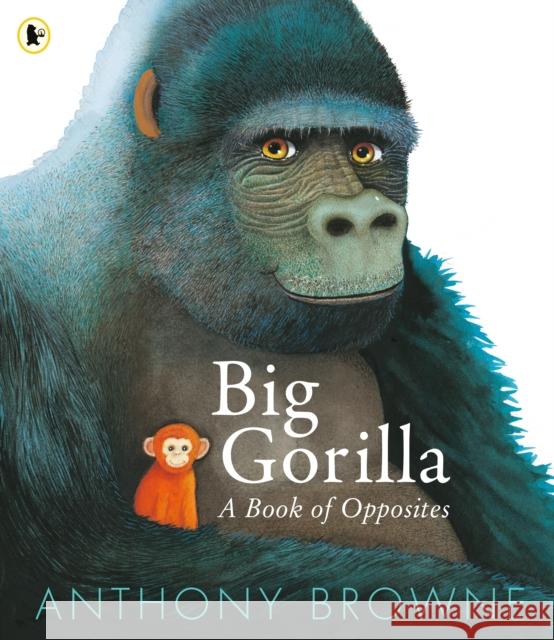 Big Gorilla: A Book of Opposites Anthony Browne 9781529523713 Walker Books Ltd - książka