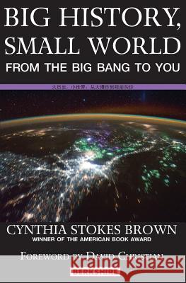 Big History, Small World Cynthia Stokes Brown 9781614720317 Berkshire Publishing Group - książka