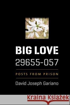 Big Love, 29655-057: Posts from Prison David Joseph Gariano David C. Straughan Constance Bumgarner Gee 9781985849853 Createspace Independent Publishing Platform - książka