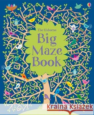 Big Maze Book Kirsteen Robson Various 9781805317708 Usborne Books - książka