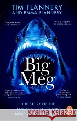 Big Meg: The Story of the Largest, Fiercest and Most Mysterious Shark Emma Flannery 9781804992265 Transworld Publishers Ltd - książka