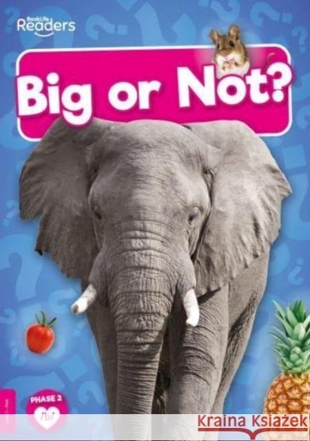 Big or Not? William Anthony 9781805050896 BookLife Publishing - książka