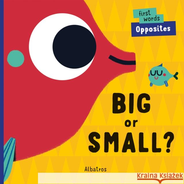 Big or Small?  9788000061351 Albatros Media - książka