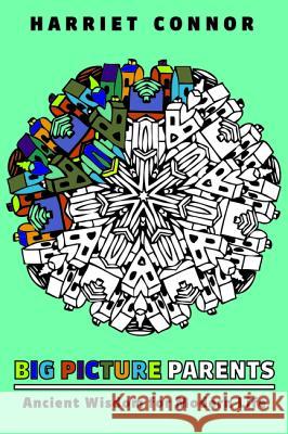 Big Picture Parents Harriet Connor 9781532602535 Resource Publications (CA) - książka