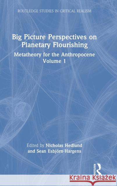 Big Picture Perspectives on Planetary Flourishing: Metatheory for the Anthropocene Volume 1 Hedlund, Nicholas 9781138856240 Routledge - książka