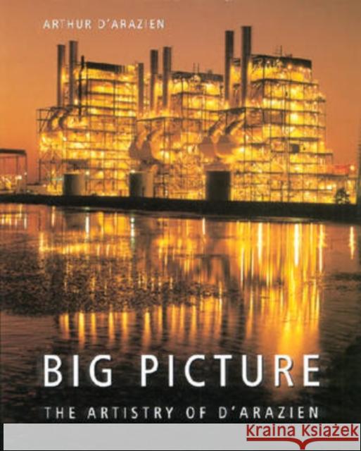Big Picture: The Artistry of D'Arazien Darazien, Arthur 9780873387514 Kent State University Press - książka
