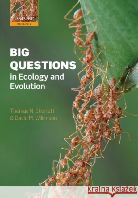 Big Questions in Ecology and Evolution Thomas N. Sherratt David M. Wilkinson 9780199548606 Oxford University Press, USA - książka