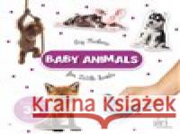 Big sticker - Animals  9788075182869 Jiri models - książka