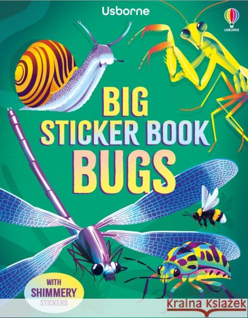 Big Sticker Book Bugs Alice James 9781836040699 Usborne Publishing Ltd - książka