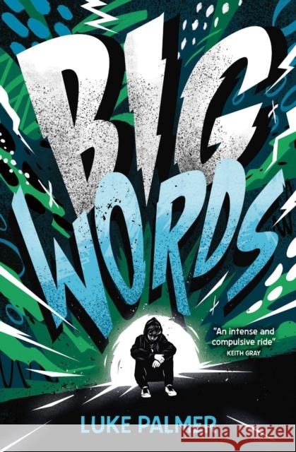 Big Words Luke Palmer 9780008789848 Barrington Stoke - książka