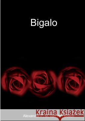 Bigalo Alexander P. M. Va 9780244912956 Lulu.com - książka