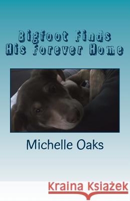 Bigfoot Finds His Forever Home MS Michelle Oaks MR Josh Oaks 9781503344020 Createspace - książka