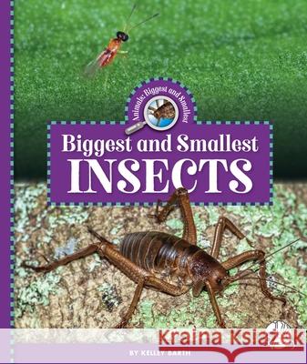 Biggest and Smallest Insects Kelley Barth 9781503875661 Child's World Wonder Books - książka
