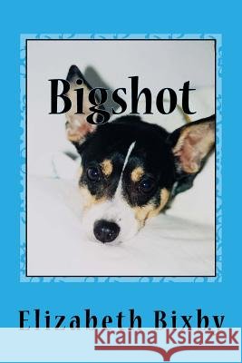 Bigshot Elizabeth a. Bixby 9781470158989 Createspace Independent Publishing Platform - książka