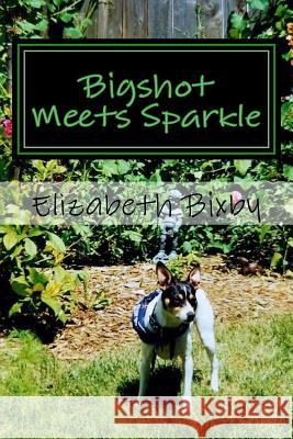 Bigshot Meets Sparkle Elizabeth a. Bixby 9781481058568 Createspace Independent Publishing Platform - książka