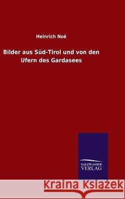 Bilder aus Süd-Tirol und von den Ufern des Gardasees Heinrich Noë 9783846077900 Salzwasser-Verlag Gmbh - książka