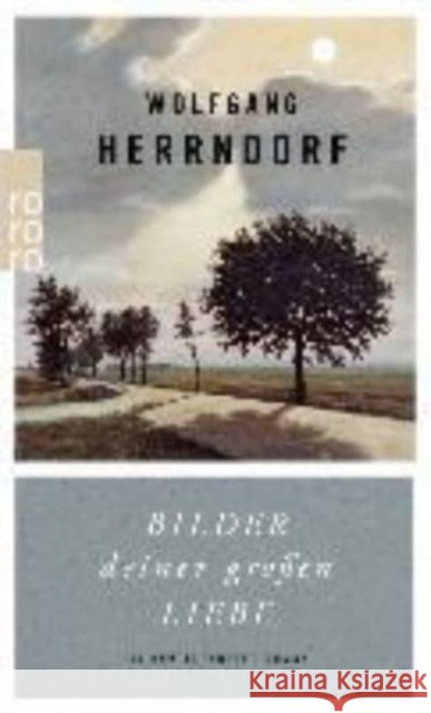 Bilder deiner großen Liebe : Ein unvollendeter Roman Herrndorf, Wolfgang 9783499269097 Rowohlt TB. - książka