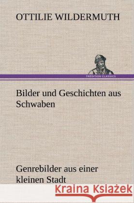 Bilder und Geschichten aus Schwaben Wildermuth, Ottilie 9783847270393 TREDITION CLASSICS - książka