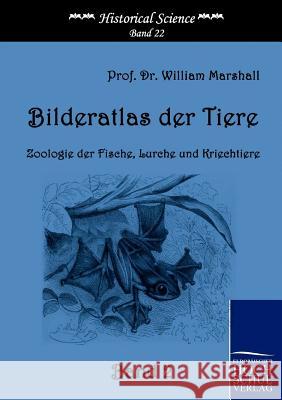 Bilderatlas der Tiere (Band 2) Marshall, William 9783867411998 Europäischer Hochschulverlag - książka