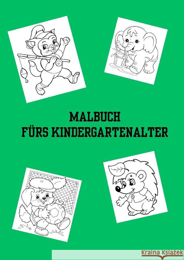 Bilderbuch / Malbuch fürs Kindergartenalter Meinecke, Willi 9783384186812 tredition - książka