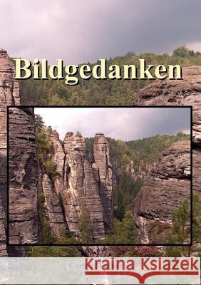 Bildgedanken Corina Wagner 9783837070798 Books on Demand - książka